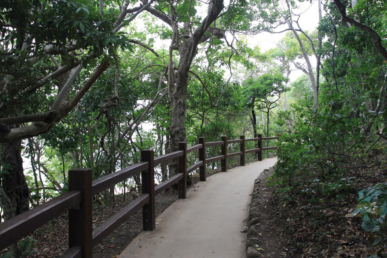 Koala Cove Holiday Apartments Gold Coast Bagian luar foto