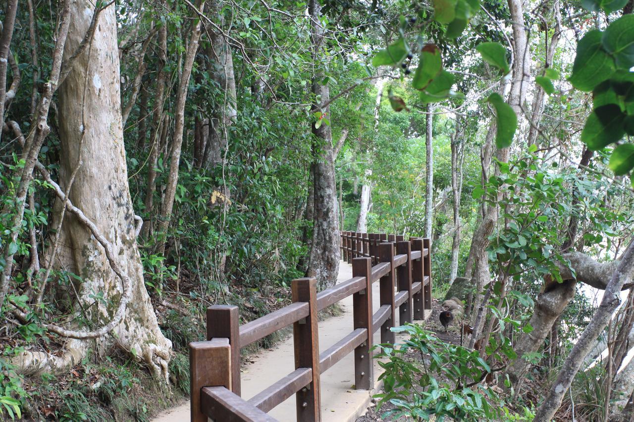 Koala Cove Holiday Apartments Gold Coast Bagian luar foto